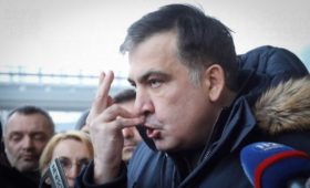 Саакашвили сравнил Путина и Грузию с котом и мышью
