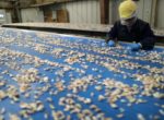 Компании из Китая перестали закупать сельхозпродукцию после угроз Трампа