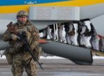СМИ узнали подробности о решении США заморозить военную помощь Украине