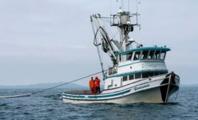 Рыбаки Аляски оценили потери от введенного Россией продэмбарго
