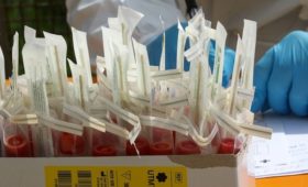 Россия поставит в страны СНГ еще 300 тыс. тестов на коронавирус